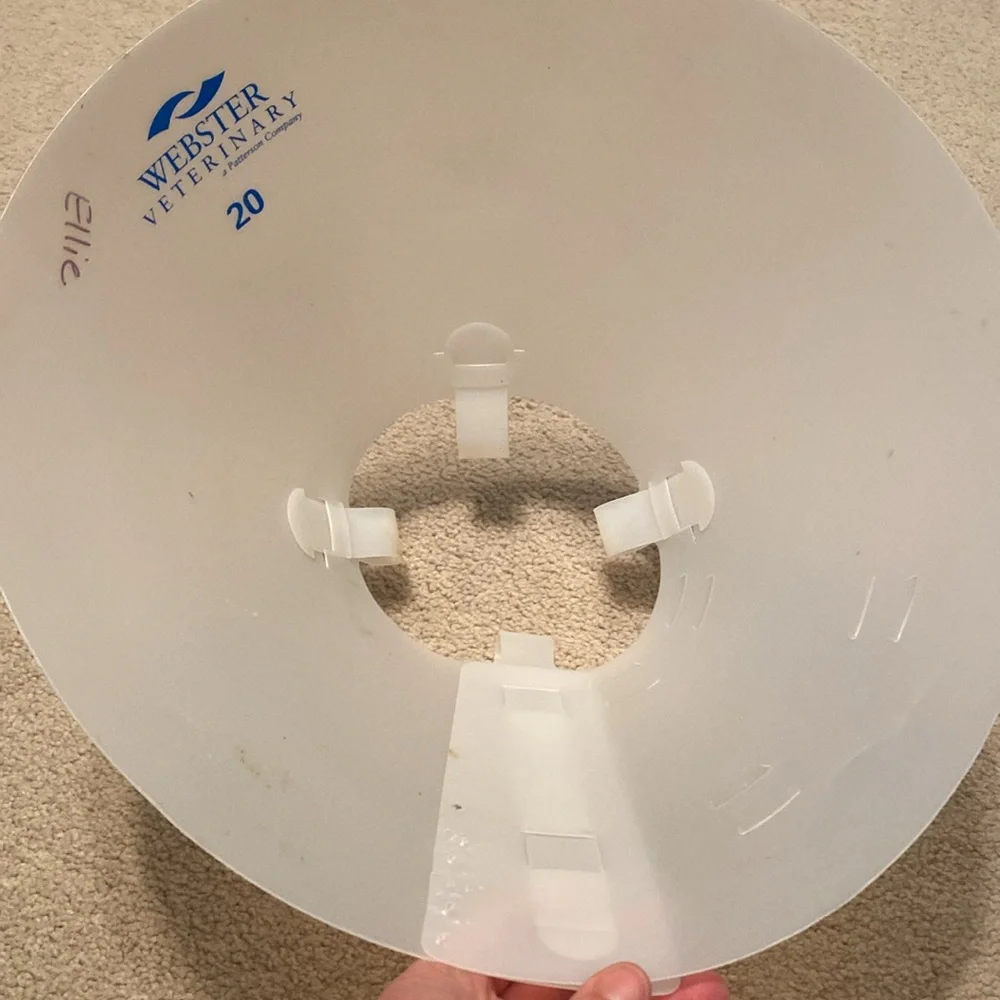 2 used no scratch, recovery collar bought from a vet for my dogs post surgeries